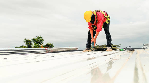 Best Roof Maintenance and Cleaning  in Mira Monte, CA